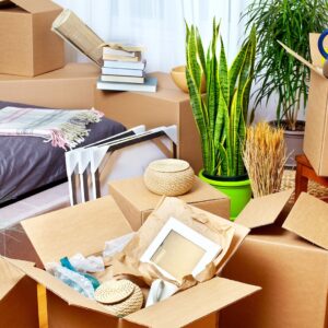 Team Packers and Movers