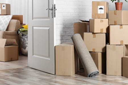 Furniture Mover Packer