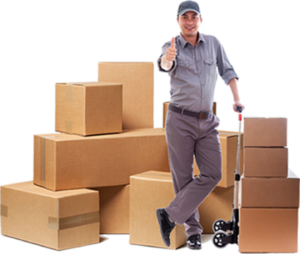 Professional Movers And Packers in ALL U.A.E