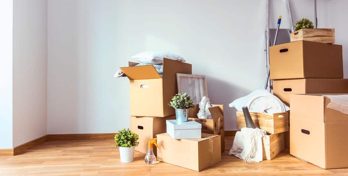 Professional Movers Company Uae