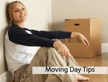 Professional Movers Company