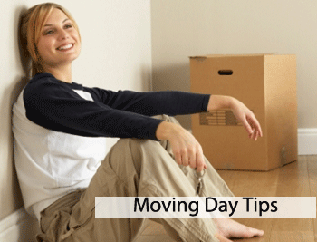 Professional Movers and Packers | Angel Movers Dubai Packers