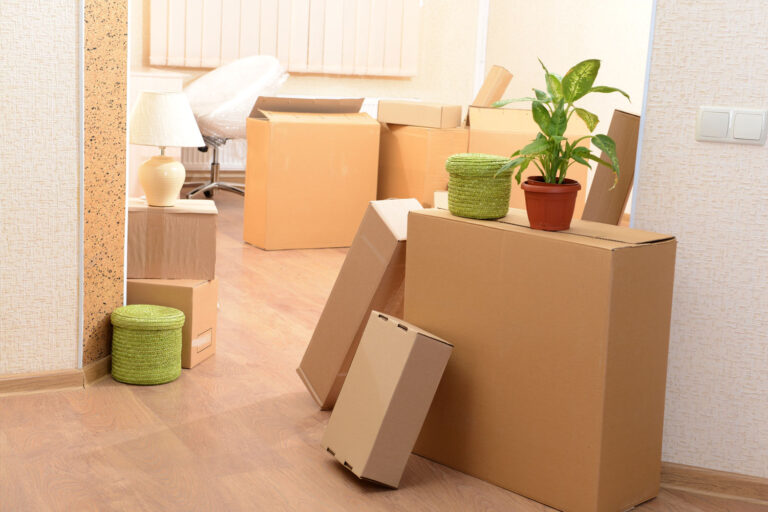 Movers Packer in Dubai
